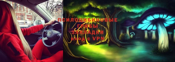 марки nbome Каменка