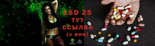 трава Семилуки