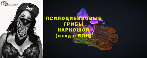 марки nbome Каменка