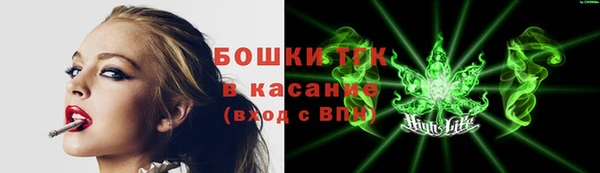 ПСИЛОЦИБИНОВЫЕ ГРИБЫ Семёнов