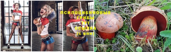 ПСИЛОЦИБИНОВЫЕ ГРИБЫ Семёнов